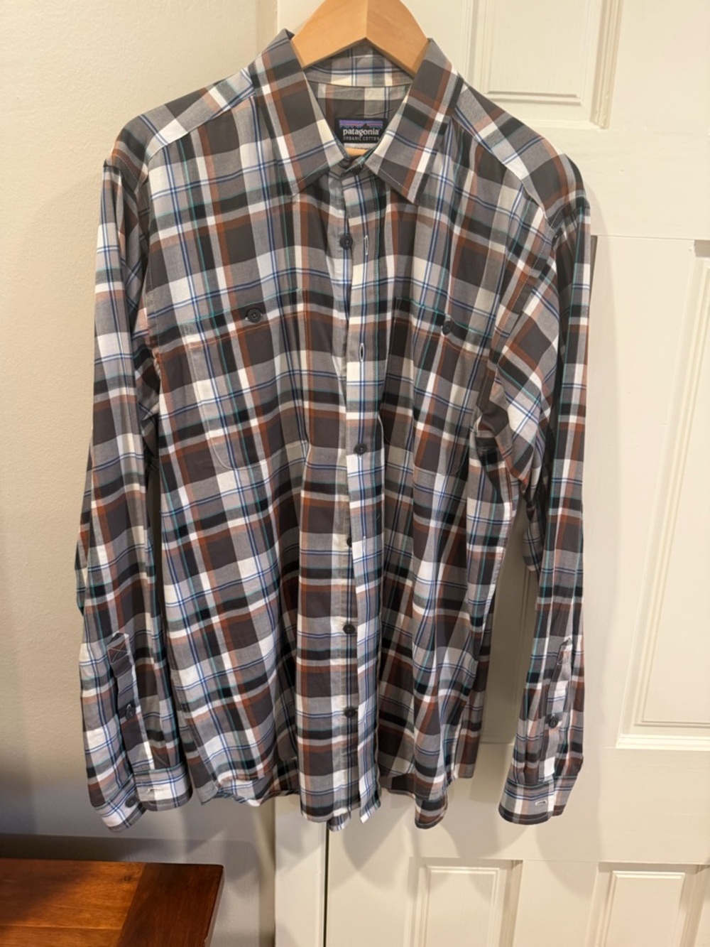 Patagonia Men's Plaid Button-Down Shirt in Brown, White & Blue